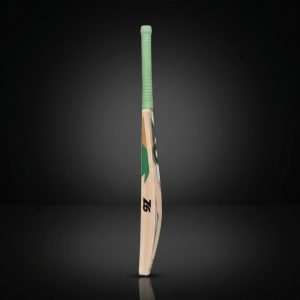 Z6 S-4000 Master Edition Cricket Bat – Sage & Gold Geometric