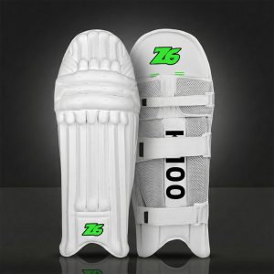 Z6 Titan Pro-Shell Batting Pads