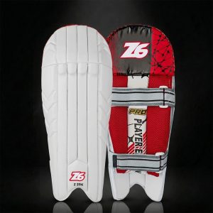Z6 Z 20K Pro Player Edition Wicket Keeper Pads