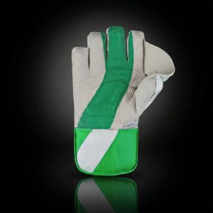 Z6 K 100 Pro Series Wicket Keeper Gloves