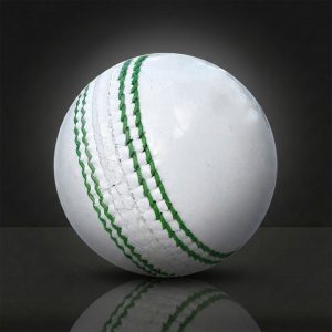Z6 Professional Training Cricket Ball